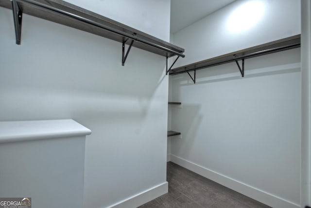 spacious closet featuring dark wood-style flooring