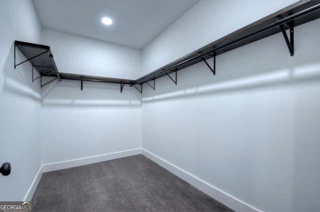 walk in closet featuring dark wood-type flooring