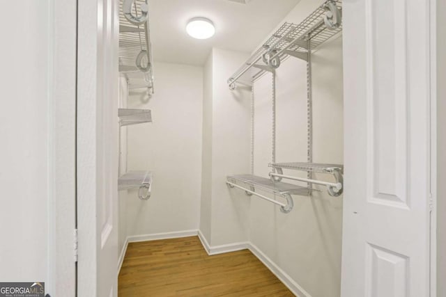 spacious closet featuring wood finished floors