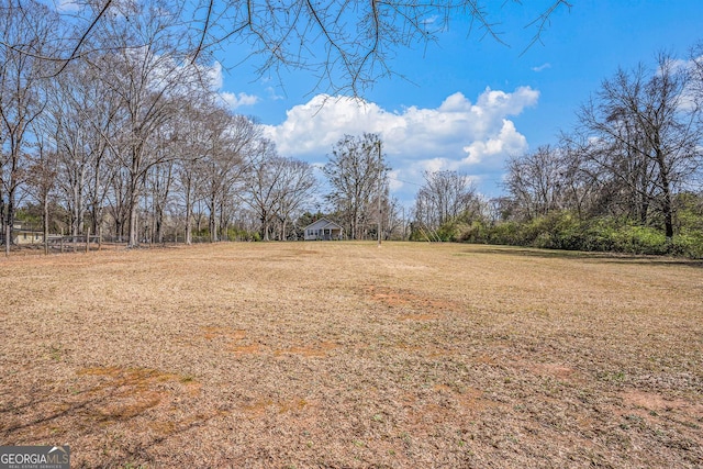 1887 Green Valley Rd, Griffin, GA 30224 - view of yard