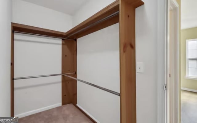 spacious closet featuring carpet flooring