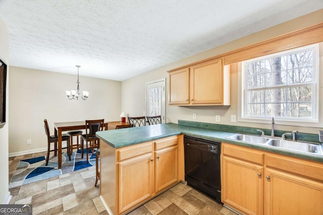 kitchen with black dishwasher, a healthy amount of sunlight, a sink, and light brown cabinetry