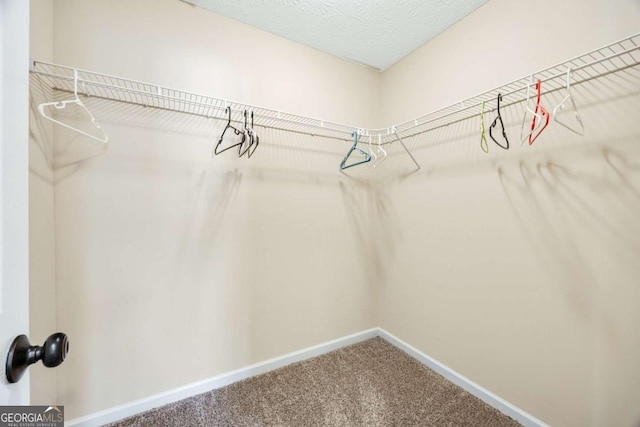 spacious closet featuring carpet floors