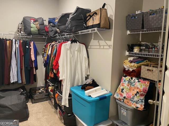 spacious closet with carpet floors