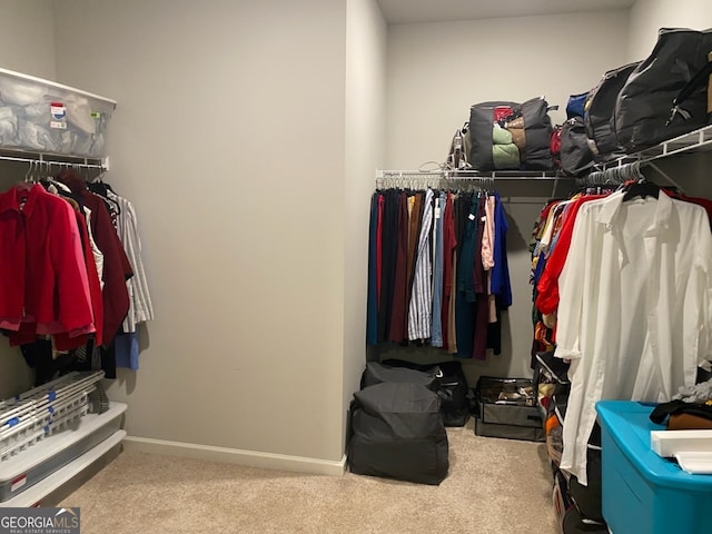 spacious closet featuring carpet flooring