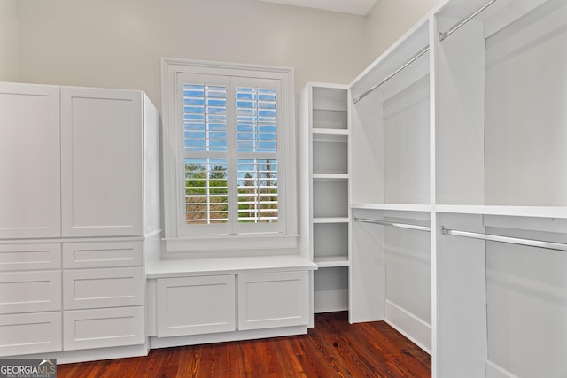 spacious closet with dark wood-style floors