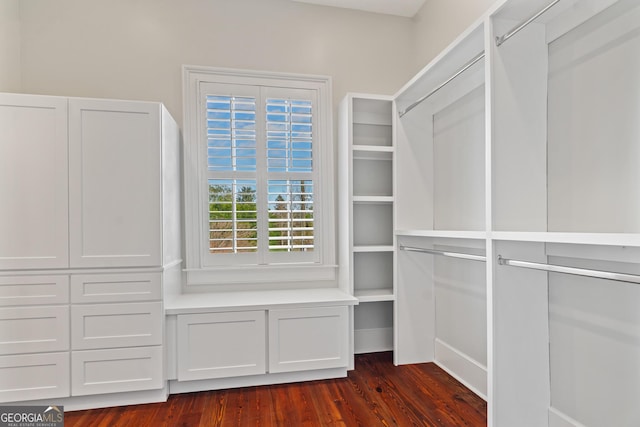 204 E Liberty St, Savannah, GA 31401 - spacious closet with dark wood-style flooring