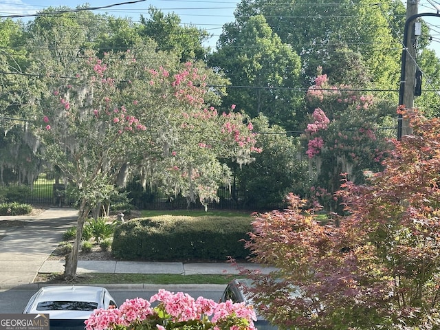 204 E Liberty St, Savannah, GA 31401 - view of yard