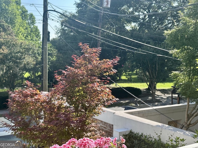 204 E Liberty St, Savannah, GA 31401 - view of yard