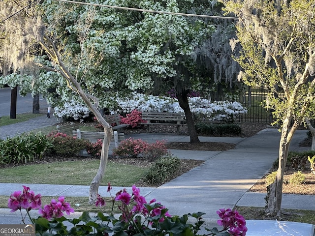 204 E Liberty St, Savannah, GA 31401 - view of surrounding community