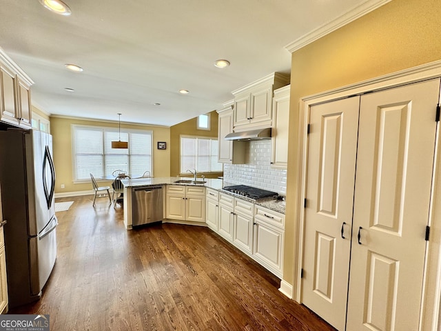 kitchen with under cabinet range hood, a peninsula, a sink, appliances with stainless steel finishes, and crown molding