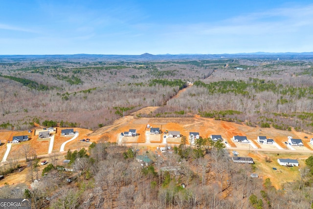 birds eye view of property featuring a mountain view