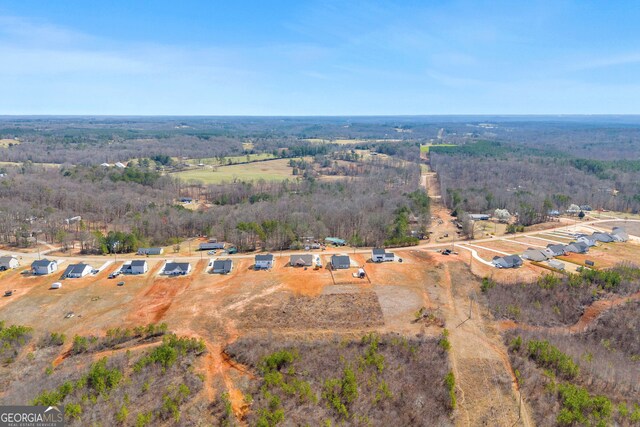 bird's eye view with a forest view