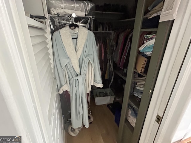 spacious closet with wood finished floors