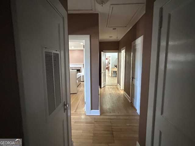 hallway with baseboards, visible vents, attic access, and light wood-style floors