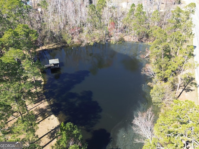 drone / aerial view featuring a water view and a wooded view