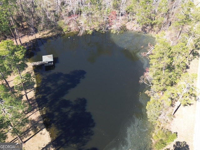 drone / aerial view featuring a view of trees and a water view