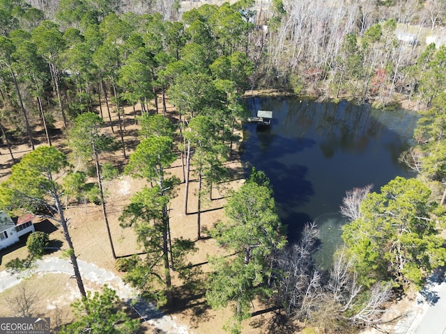 birds eye view of property with a view of trees and a water view