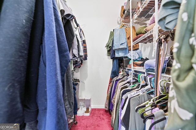 spacious closet featuring carpet floors