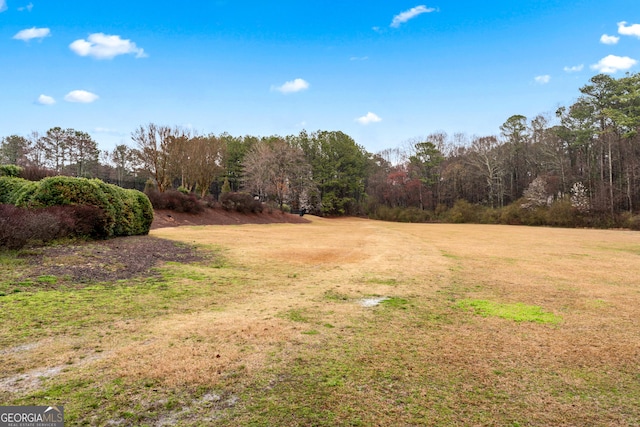 view of yard featuring a wooded view