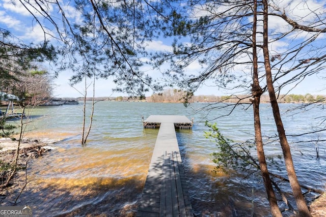 dock area with a water view