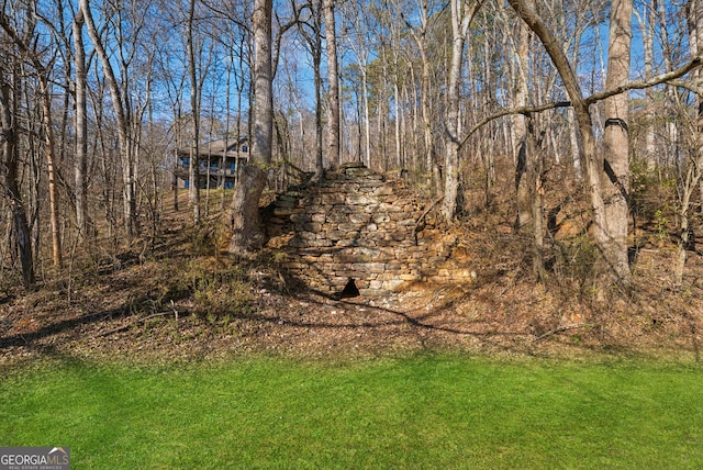 view of yard featuring a view of trees