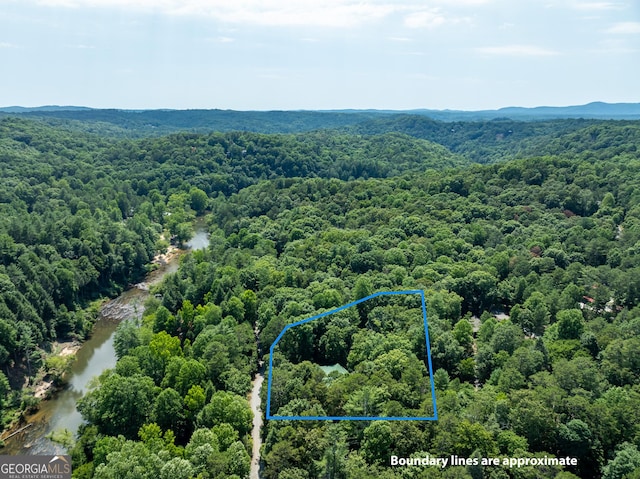 bird's eye view featuring a mountain view and a wooded view