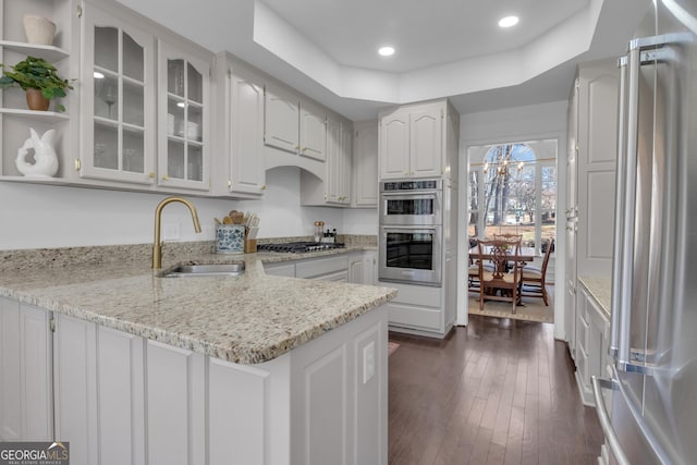 kitchen featuring a peninsula, a sink, dark wood-type flooring, appliances with stainless steel finishes, and a raised ceiling