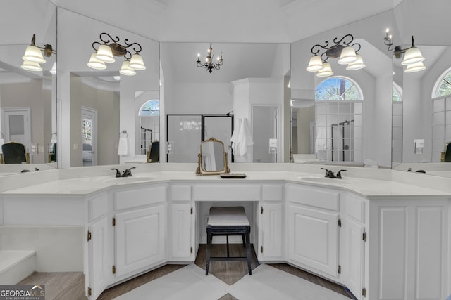 bathroom featuring a sink, walk in shower, and double vanity