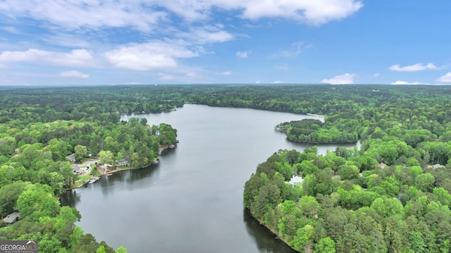 drone / aerial view featuring a forest view and a water view