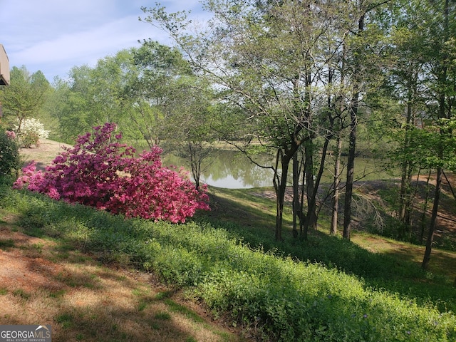 994 Fairview Club Cir, Dacula, GA 30019 - view of yard with a water view