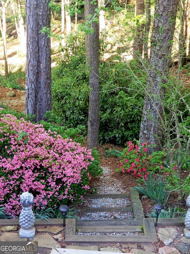 994 Fairview Club Cir, Dacula, GA 30019 - view of yard