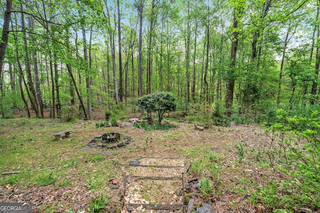 994 Fairview Club Cir, Dacula, GA 30019 - view of nature