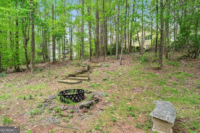 994 Fairview Club Cir, Dacula, GA 30019 - view of yard featuring a fire pit