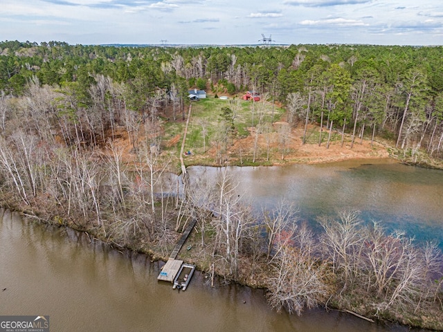 bird's eye view featuring a water view and a wooded view