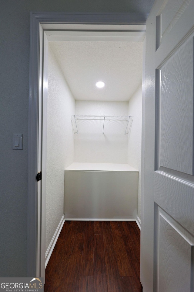 walk in closet featuring dark wood finished floors