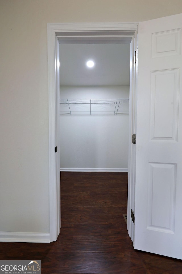 spacious closet featuring dark wood finished floors