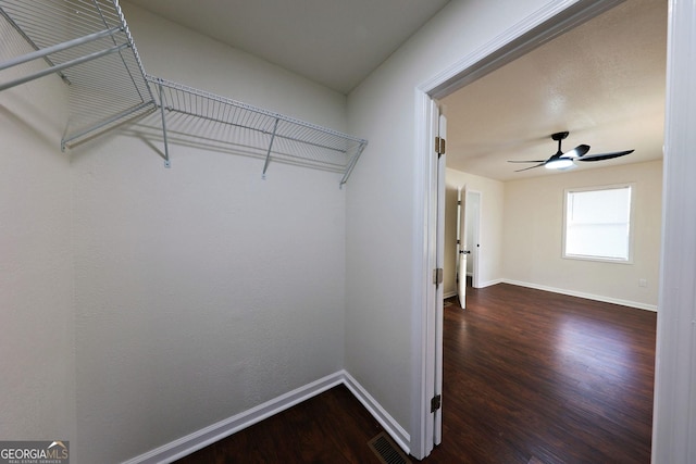 walk in closet with ceiling fan, visible vents, and wood finished floors