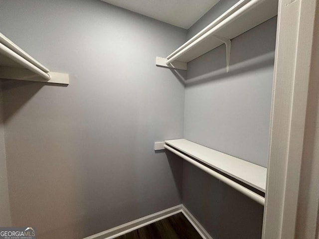 spacious closet featuring dark wood-type flooring