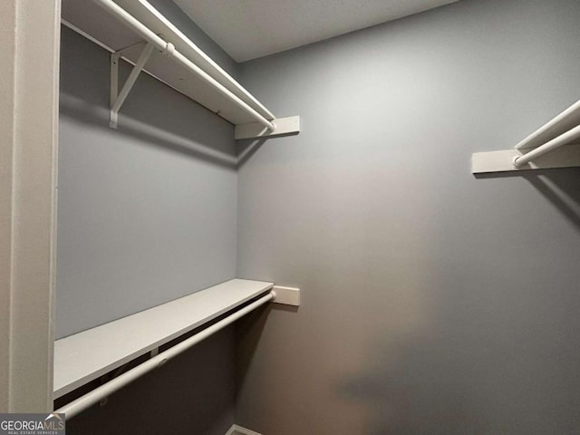 view of walk in closet