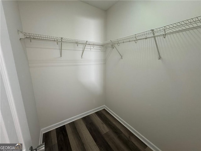 walk in closet with dark wood-style flooring