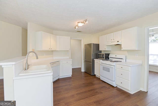 kitchen with dark wood-style flooring, stainless steel appliances, under cabinet range hood, white cabinetry, and a sink