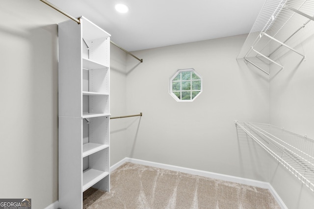 walk in closet featuring carpet floors