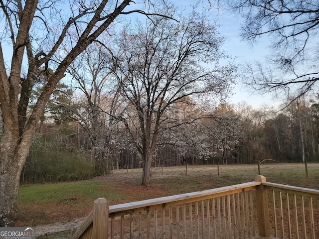 wooden terrace featuring a lawn and a view of trees