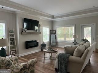 living area featuring crown molding, a healthy amount of sunlight, a fireplace, and wood finished floors