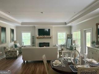 interior space with a tray ceiling, a fireplace, and a healthy amount of sunlight