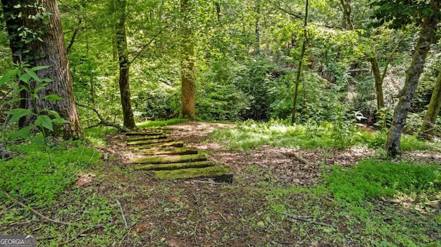 view of local wilderness featuring a view of trees