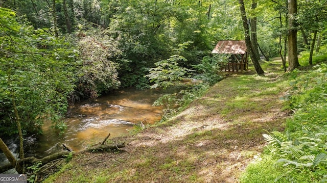 1147 Martin Dr, Cleveland, GA 30528 - view of wooded area