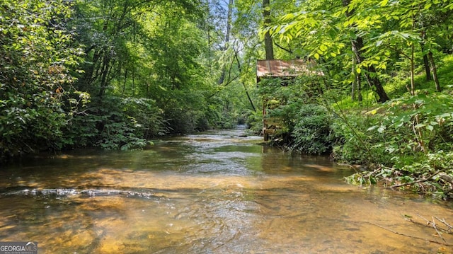 water view featuring a forest view