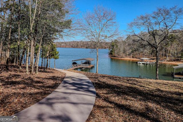 dock area featuring a water view